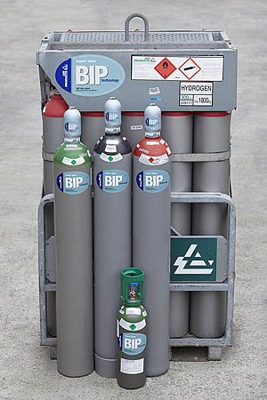 Bouteille BIP ®