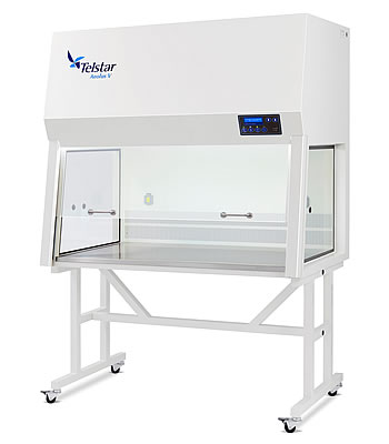 Aeolus V