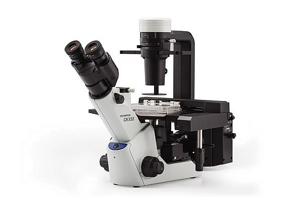 Microscope inversé CKX53