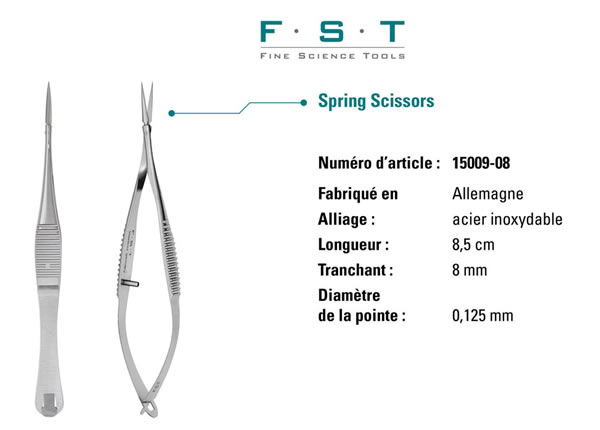 Spring Scissors