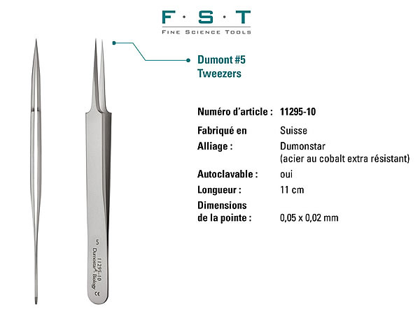 Dumont #5 Forceps