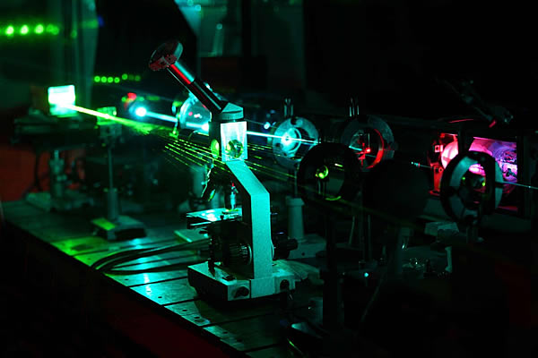 Flow Cytometry Services