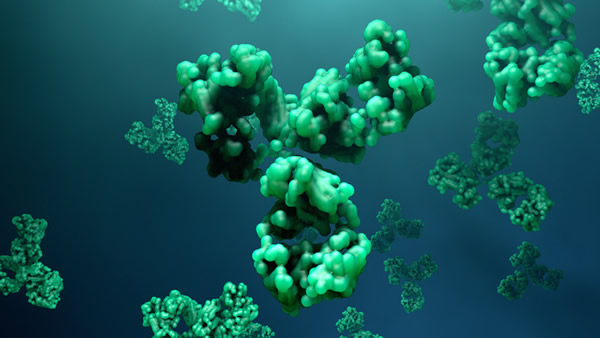 Immunogenicity Testing Services