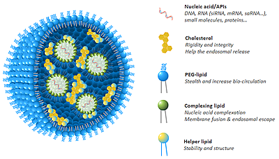 LipidNanoParticles (LNP) Ready To Use and Custom Service