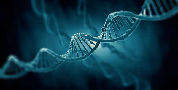 Molecular Biology Testing Services