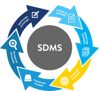 SDMS