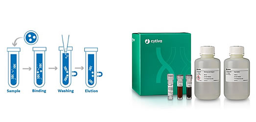 Sera-Xtracta™ kits d’extractions magnétiques