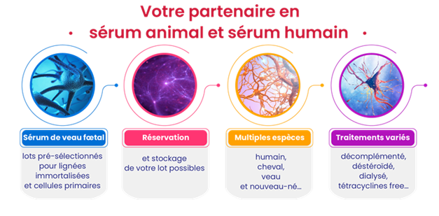 votre partenaire en sérum animal et sérum humain