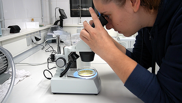 Laboratoire d’analyse de résines échangeuses d’ions
